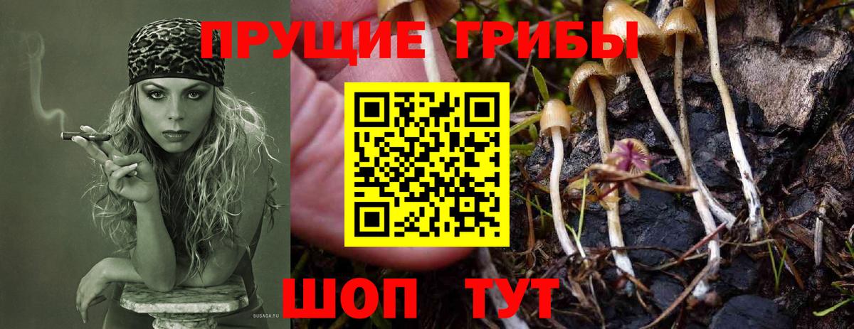 Галлюциногенные грибы Magic Shrooms  Вход с VPN  наркошоп  Ялта  Псилоцибиновые грибы Magic Shrooms 